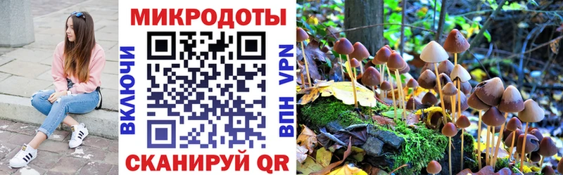 закладки  Кирсанов  hydra ONION  Галлюциногенные грибы Magic Shrooms 